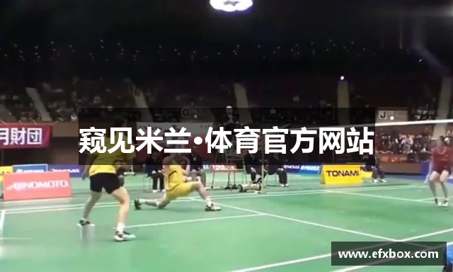 窥见米兰·体育官方网站